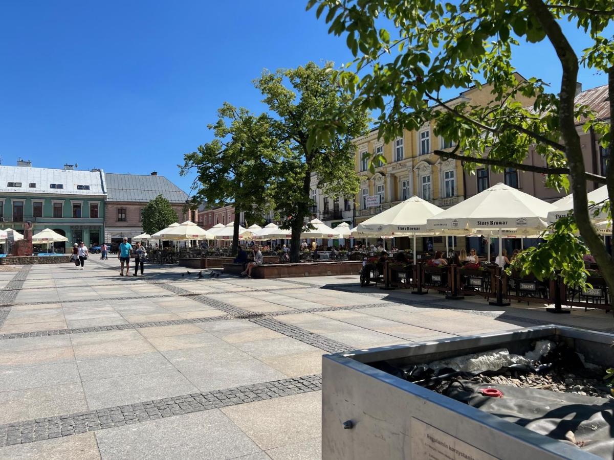Family&Business Sauna Apartments Sienkiewicza Centrum No3 oraz No4 z Parkingiem NEW! Kielce Zewnętrze zdjęcie